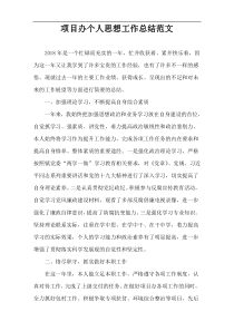 项目办个人思想工作总结范文