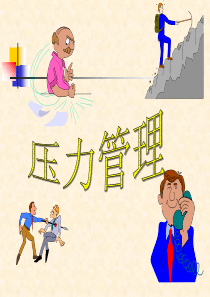 压力管理培训(ppt 99) 