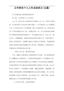 公司财务个人工作总结范文(五篇)