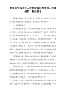 党组织生活会个人对照检查问题查摆、根源剖析、整改思考