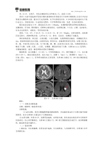 2018临床医师实践技能知识考点(一百一十)