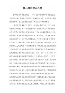 青马培训学习心得