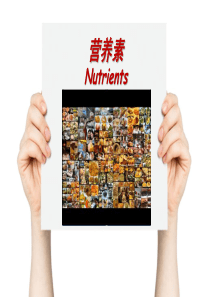 医学培训：营养学课件-各类食物的营养价值