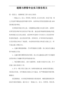 道路与桥梁专业实习报告范文