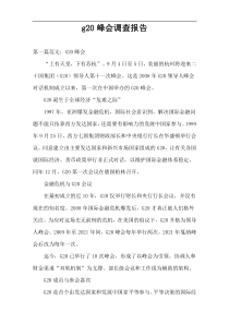 g20峰会调查报告