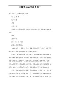 法律咨询实习报告范文