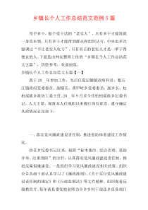乡镇长个人工作总结范文范例5篇