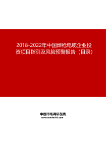 2019-2022年中国焊枪电缆企业投资项目指引及风险预警报告目录
