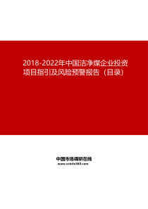 2019-2022年中国洁净煤企业投资项目指引及风险预警报告目录