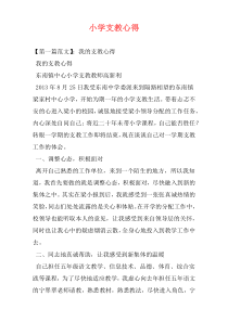 小学支教心得