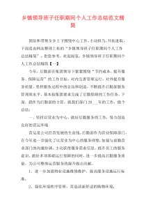 乡镇领导班子任职期间个人工作总结范文精简