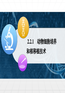 人教版《动物细胞培养和核移植技术-》PPT课件