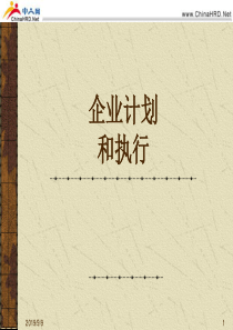 企业计划和执行（PPS20页）