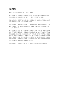 宠物狗