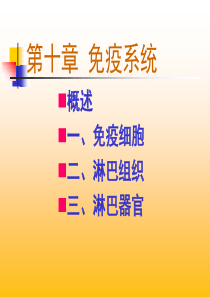 免疫系统组织学sdl