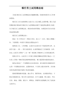 银行员工试用期总结