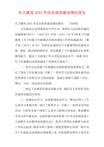 市卫健局20XX年法治政府建设情况报告