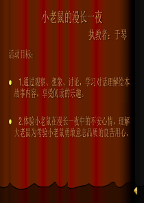小老鼠的漫长一夜