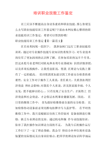 培训职业技能工作鉴定