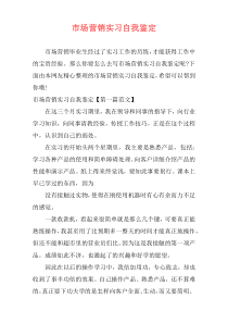 市场营销实习自我鉴定
