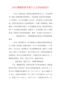 2020精准扶贫年度个人工作总结范文