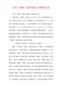 全区“两新”组织党建工作情况汇报