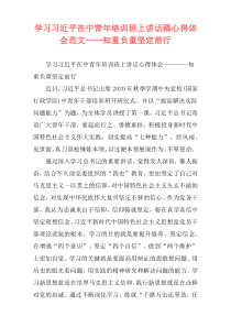学习习近平在中青年培训班上讲话稿心得体会范文——知重负重坚定前行
