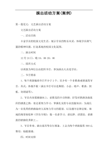演出活动方案(案例)
