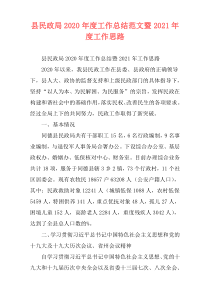 县民政局2020年度工作总结范文暨2021年度工作思路