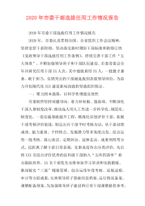 2020年市委干部选拔任用工作情况报告