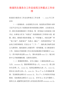 街道民生服务办工作总结范文和重点工作安排