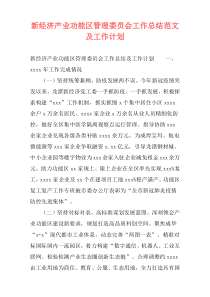 新经济产业功能区管理委员会工作总结范文及工作计划