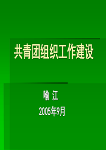 共青团组织工作建设