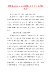商务局2020年今冬春明火灾防控工作总结范文