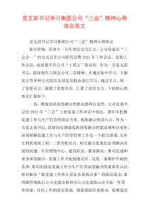 党支部书记学习集团公司“三会”精神心得体会范文