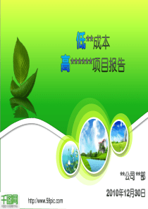 PPT商业成本核算报告模版