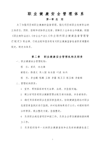 职业健康管理体系(中铁精细化检查必备)