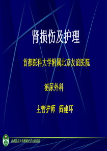 肾损伤及护理--主管护师阎建环