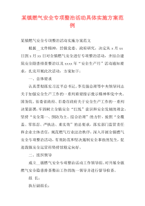 某镇燃气安全专项整治活动具体实施方案范例