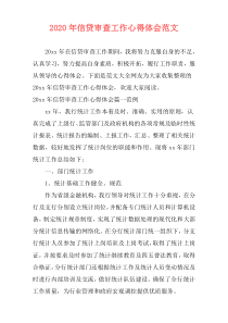 2020年信贷审查工作心得体会范文