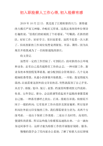 初入职检察人工作心得,初入检察有感