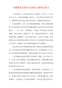 专兼职党支部书记培训心得体会范文