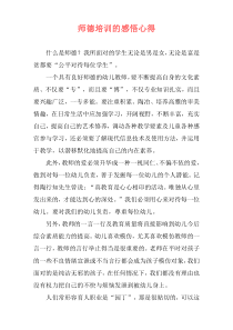 师德培训的感悟心得