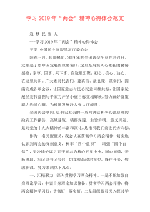 学习2019年“两会”精神心得体会范文