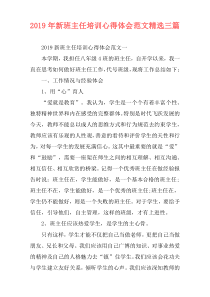 2019年新班主任培训心得体会范文精选三篇