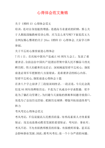 心得体会范文集锦