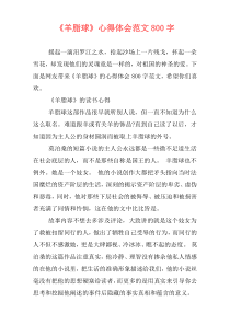 《羊脂球》心得体会范文800字