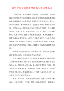 公司中层干部走群众路线心得体会范文