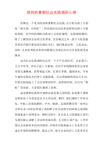 深圳的暑期社会实践调研心得