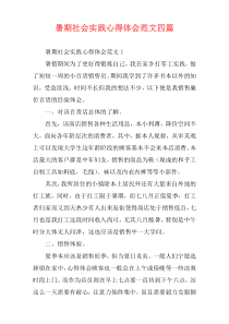 暑期社会实践心得体会范文四篇